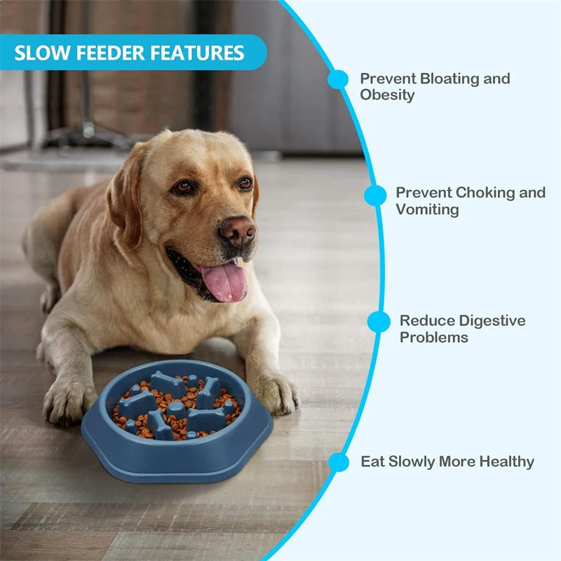 Dog Bowl Slow Eat Bowl for Dogs Small Medium PP Plastic Dog Slow Feeder Bowl Pet Food Dish Anti-choking Plate for Dog Anti-slip