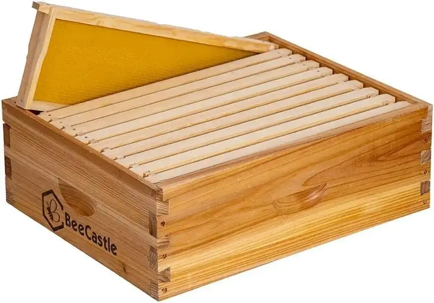 

10 Frame Assembled Medium Honey Super Bee Hive Box with Frames & Beeswax Coated Foundation Sheets
