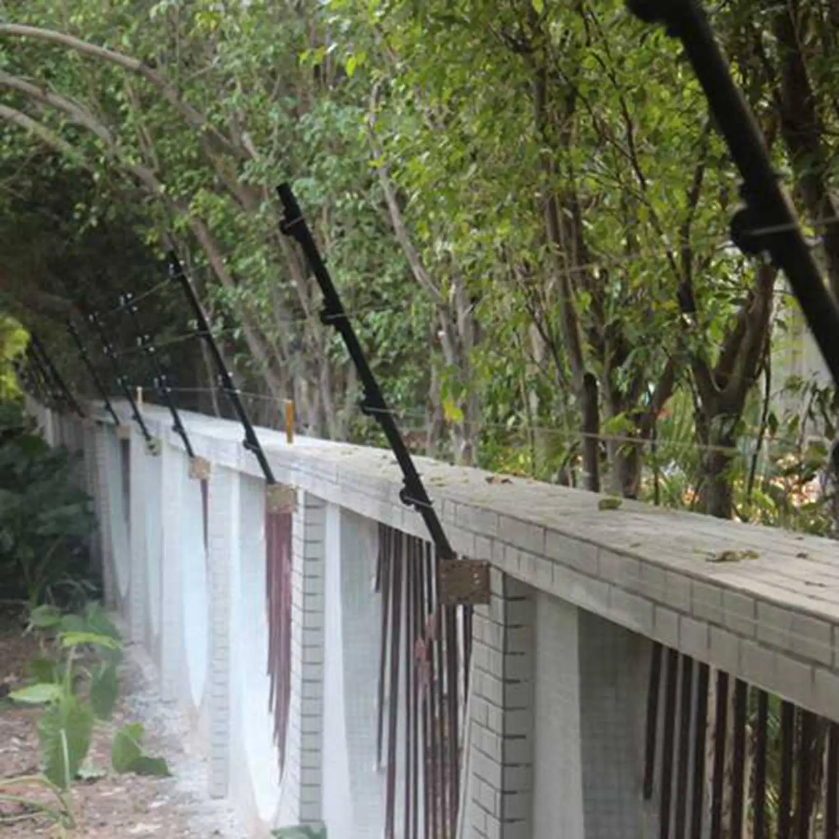 

Изолятор для забора ABFS, аксессуары для электрического забора для лошадей, крупного рогатого скота, животных, полусферический изолятор, электронный аксессуар для забора, 100 шт.