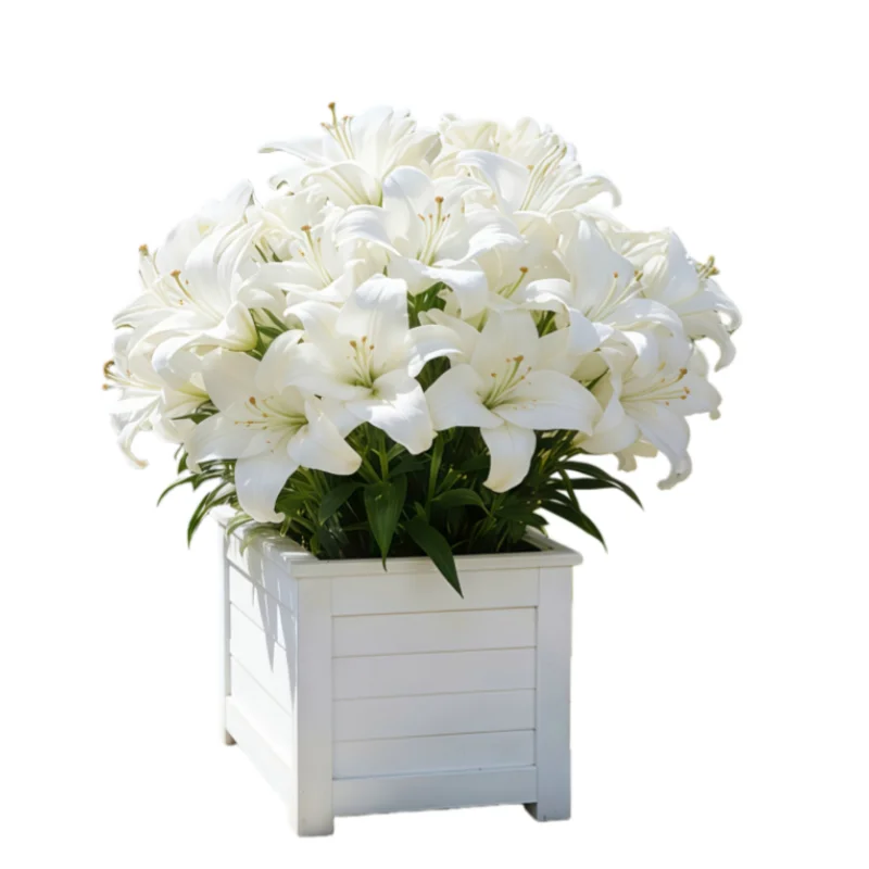 36 große, künstliche weiße Lilien – realistische Blumen, die sich ideal für die Dekoration im Freien oder im Haus sowie für Veranstaltungen, saisonale Dekorationen, hochwertige Blumensträuße, Außendekorationen, Partydekorationen und wartungsfreie, elegante Blumensträuße eignen. Auch als Handsträuße für den Valentinstag geeignet. – Detail 3