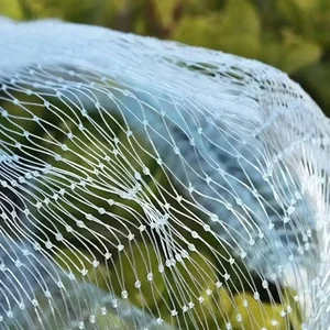 Kuşların korunması için ağ, ince örgü ağ, levha sondajı olmadan bahçede kedi, göleti örtün, 1 adet Kediler için en iyi 10 satış ağı-8 numara