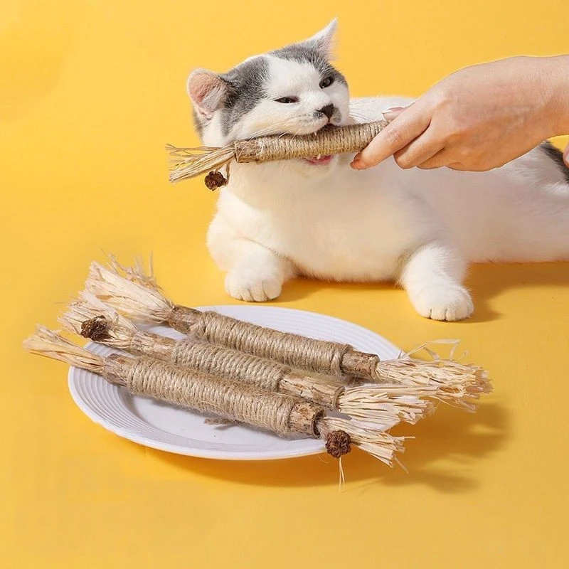 5 Stück Haustier interaktive Kau stangen Katzen zähne Backenzahn Reinigung Spielzeug Polygonum Holz Gall Nuss Bast Silber Reben Stick Hanf Seil