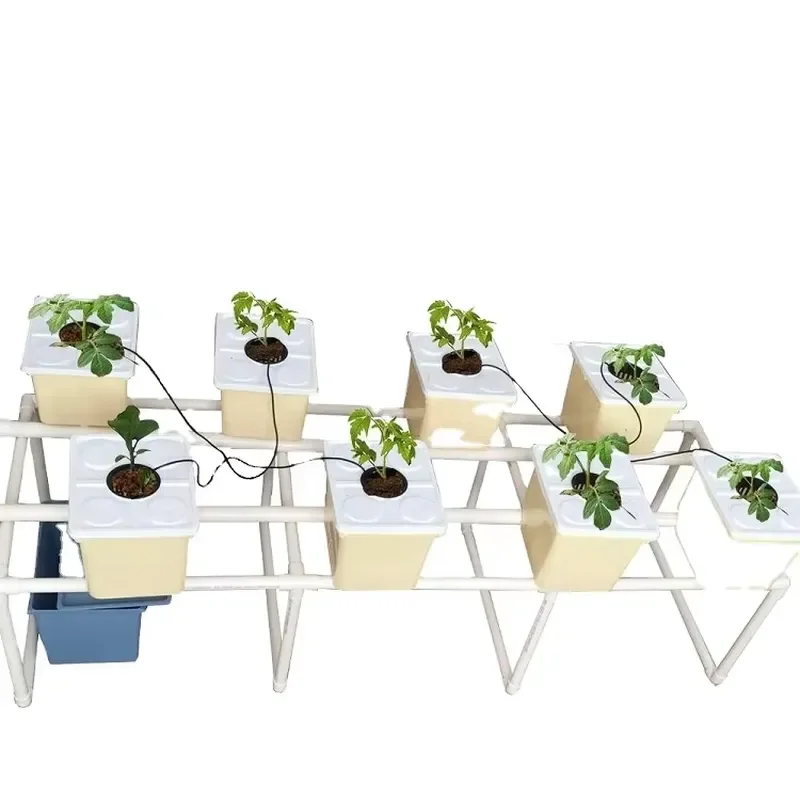 8 Dutch Buckets Hydroponics Farming for Tomato/Strawberry Balcony Growing System