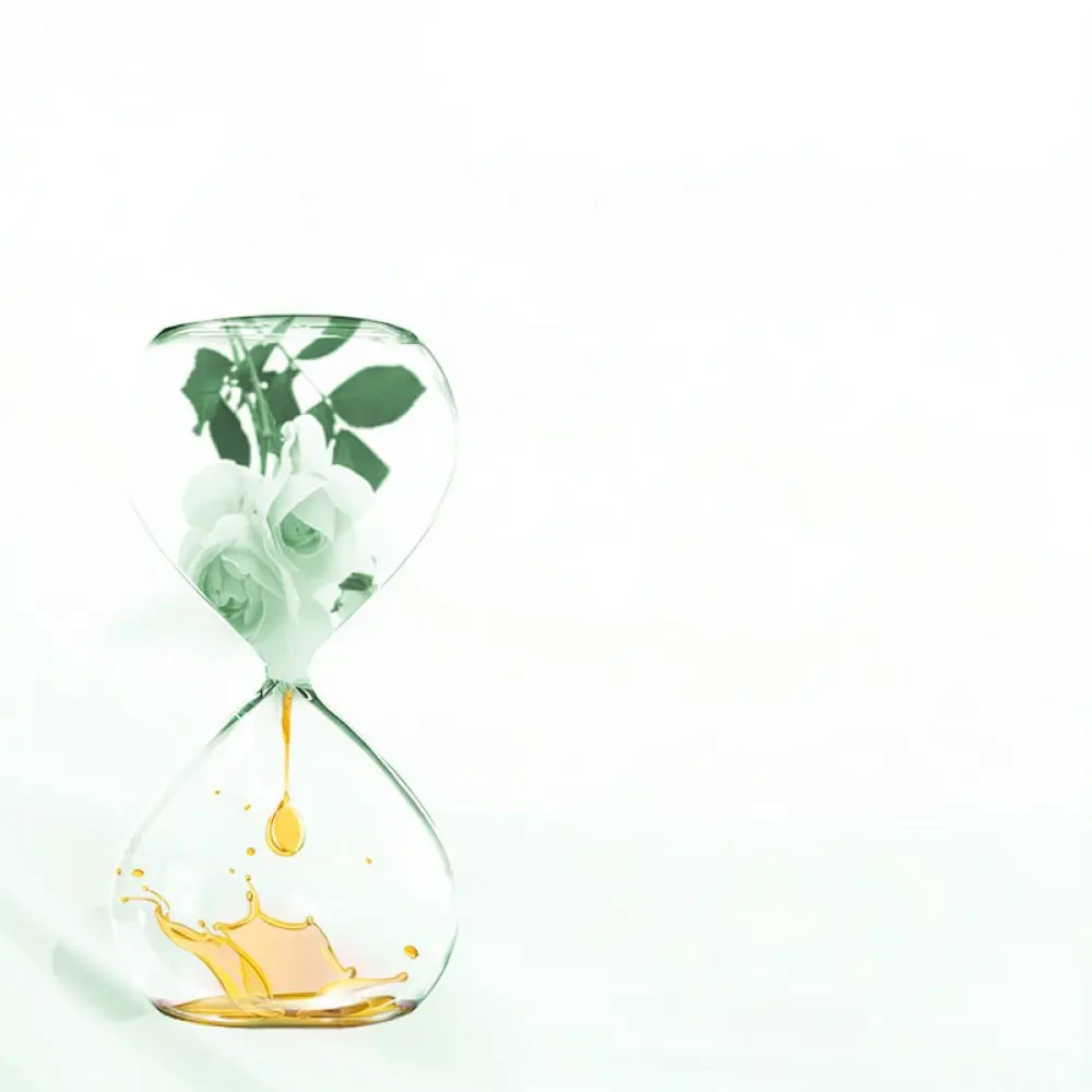 Natural SPA Massage Oil For Aromatherapy Humidifier Diffuser Water Soluble Plant Extract Essential Oil Essence