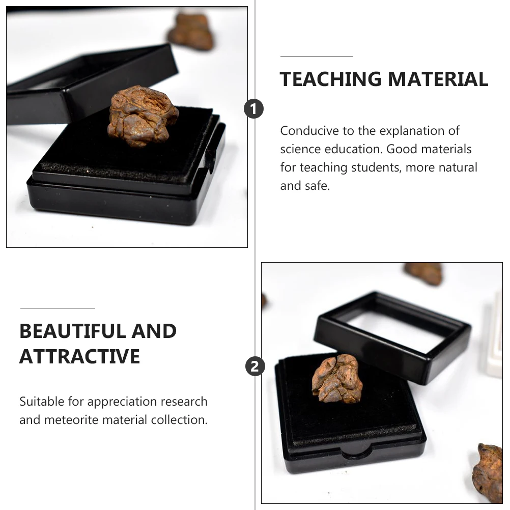 Natural Lithosiderite Sample Handpicked Meteorite for Teaching Science Experiments Space Enthusiast Gift Research Specimen Decor
