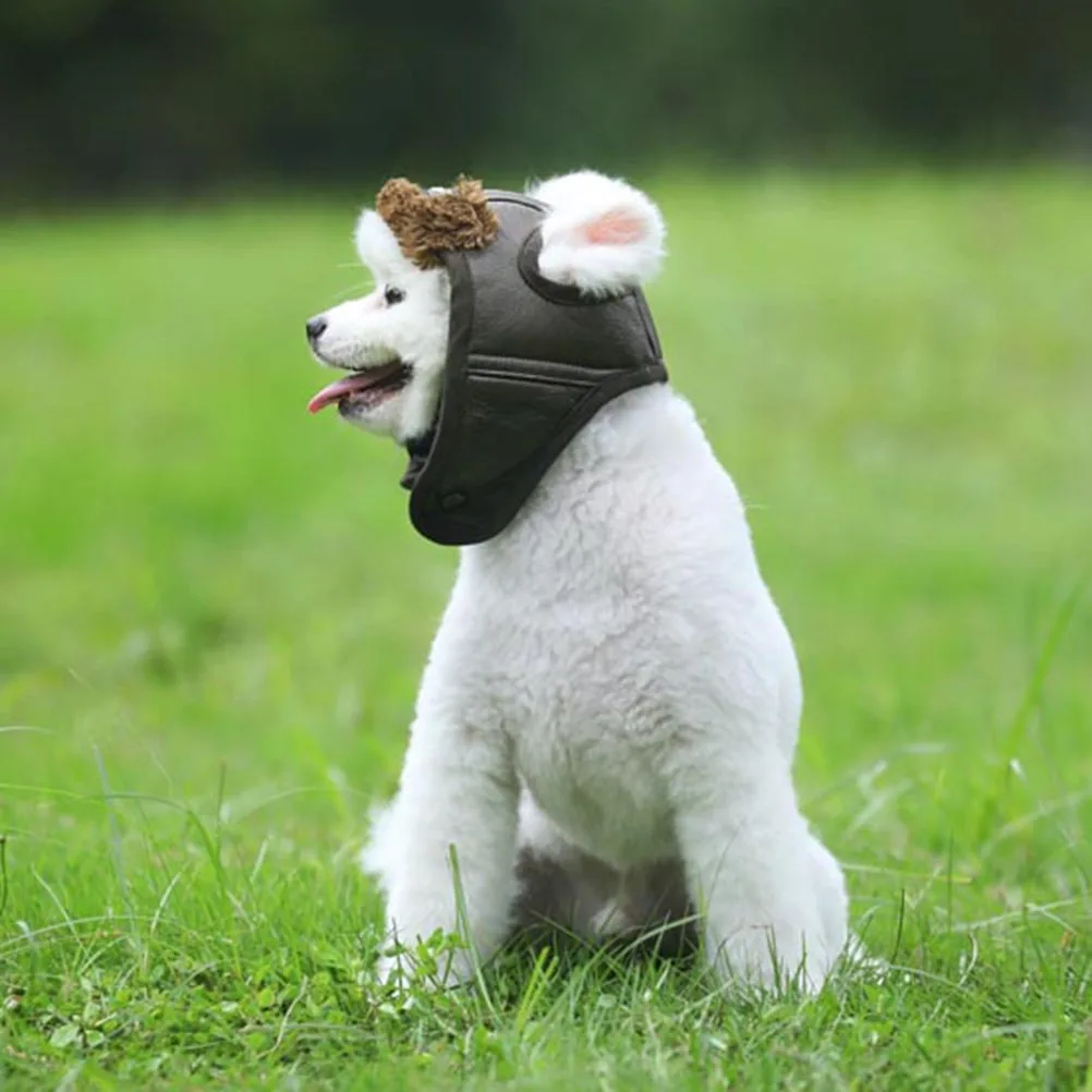 

Hat Pet Costume for Dog Cat Black S Great Option Parties Photos Much Happiness Compliments