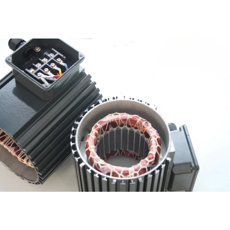 CHNBS 1hp 2hp 3hp 4hp 5hp Single Phase Motor Geared 220V Speed Reducer with brake