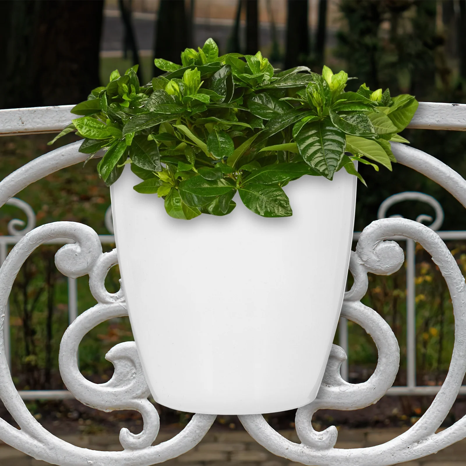 

7Pcs Round Self Watering Flower Pot Hanging Planter for Indoor Plants Wall Mounted Container for Herbs Flowers and Vegetables