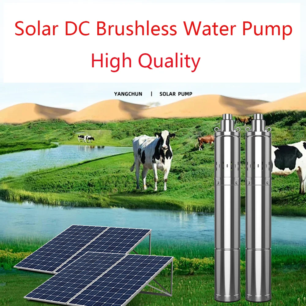 100M Head Lift Solar DC48V Drilling Well Pump Max Flow Rate 2000L/H Stainless Steel Brushless 750W Solar Submersible Pump