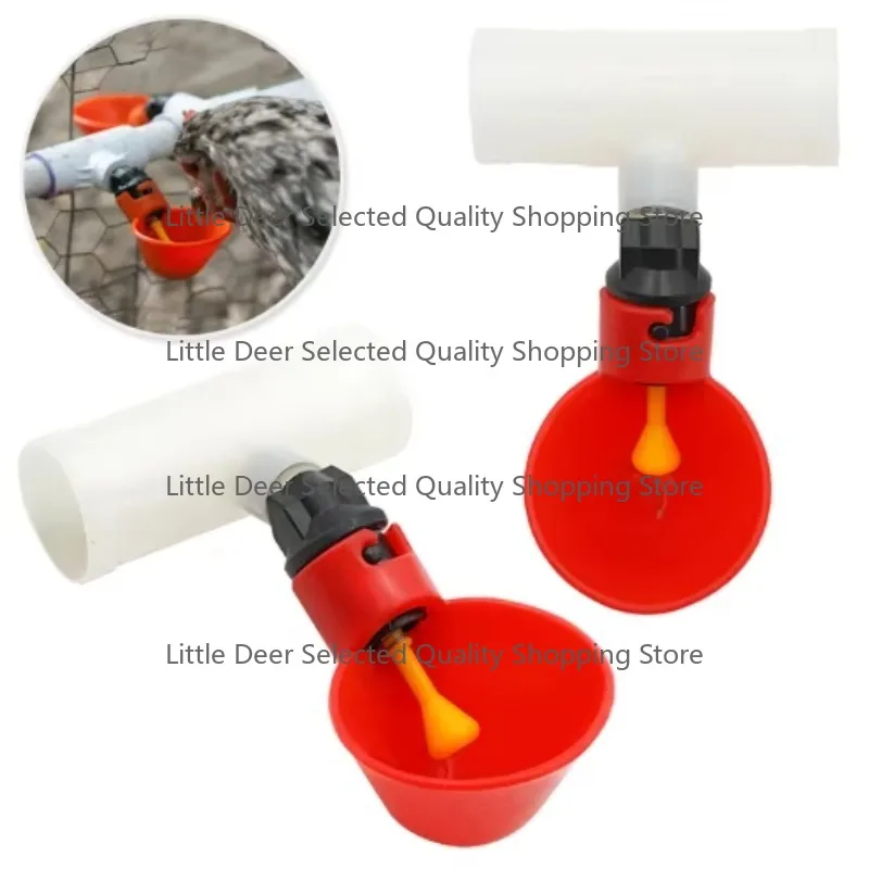 

Automatic Poultry Drinking Cup for Chicken Quail Water Cups Drinker