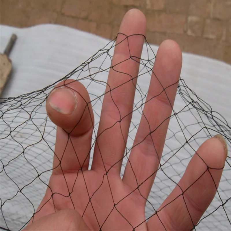 75D/2 Polyester Orchard Garden Net 2.5 X 6 M with 15mm Hole Knotted Anti-Bird Mist Net for Sparrow Control in Agriculture