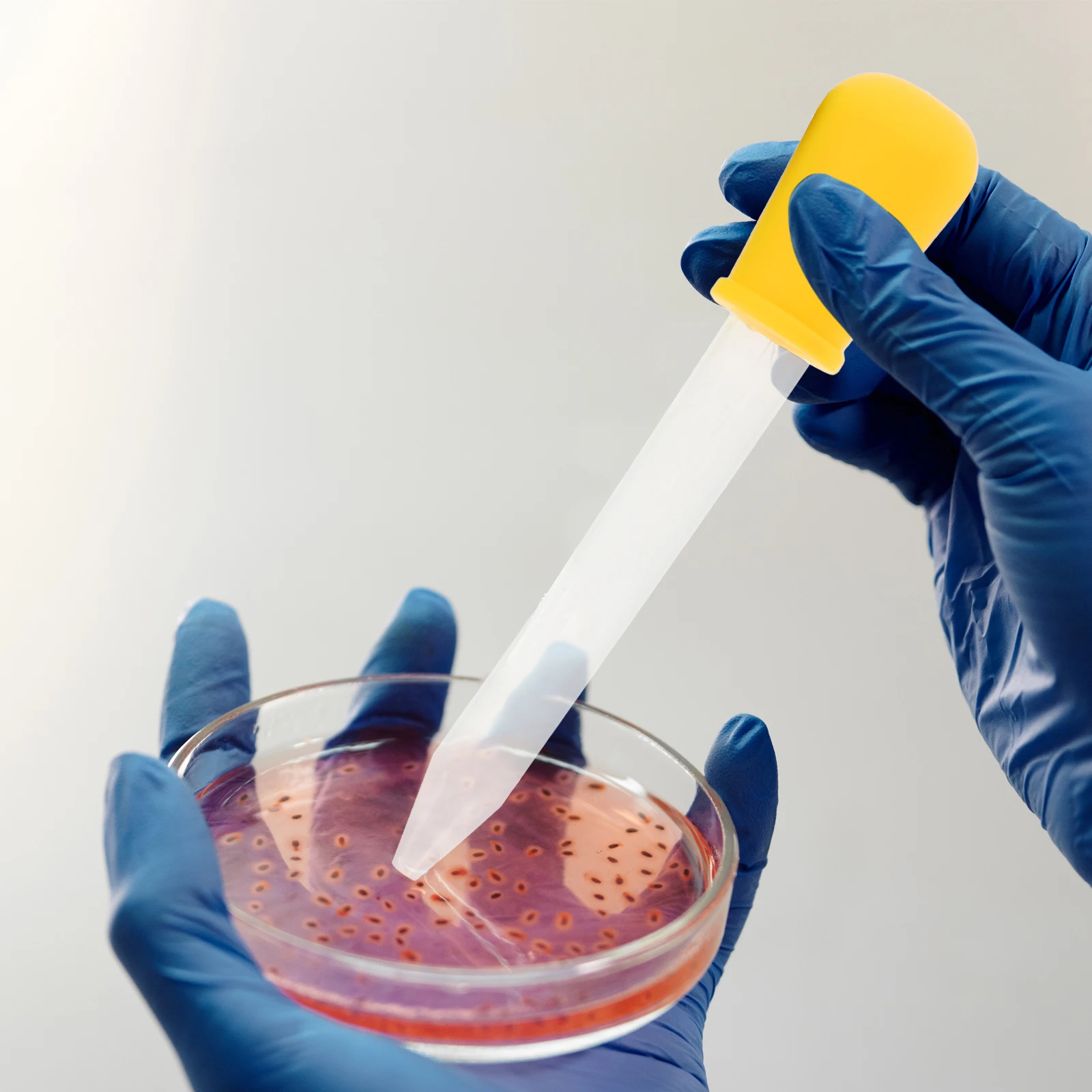 6 stücke Silikon Dropper Klare Flüssigkeit Dispenser Medizin Fütterung Werkzeug Abnehmbare Gummi Leicht Sauber Transparente Skala für Öl