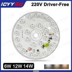 6W 12W 18W 3 Colors No Need To Drive LED Light Source High Brightness Energy Saving Indoor Light Source Accessories With Lens