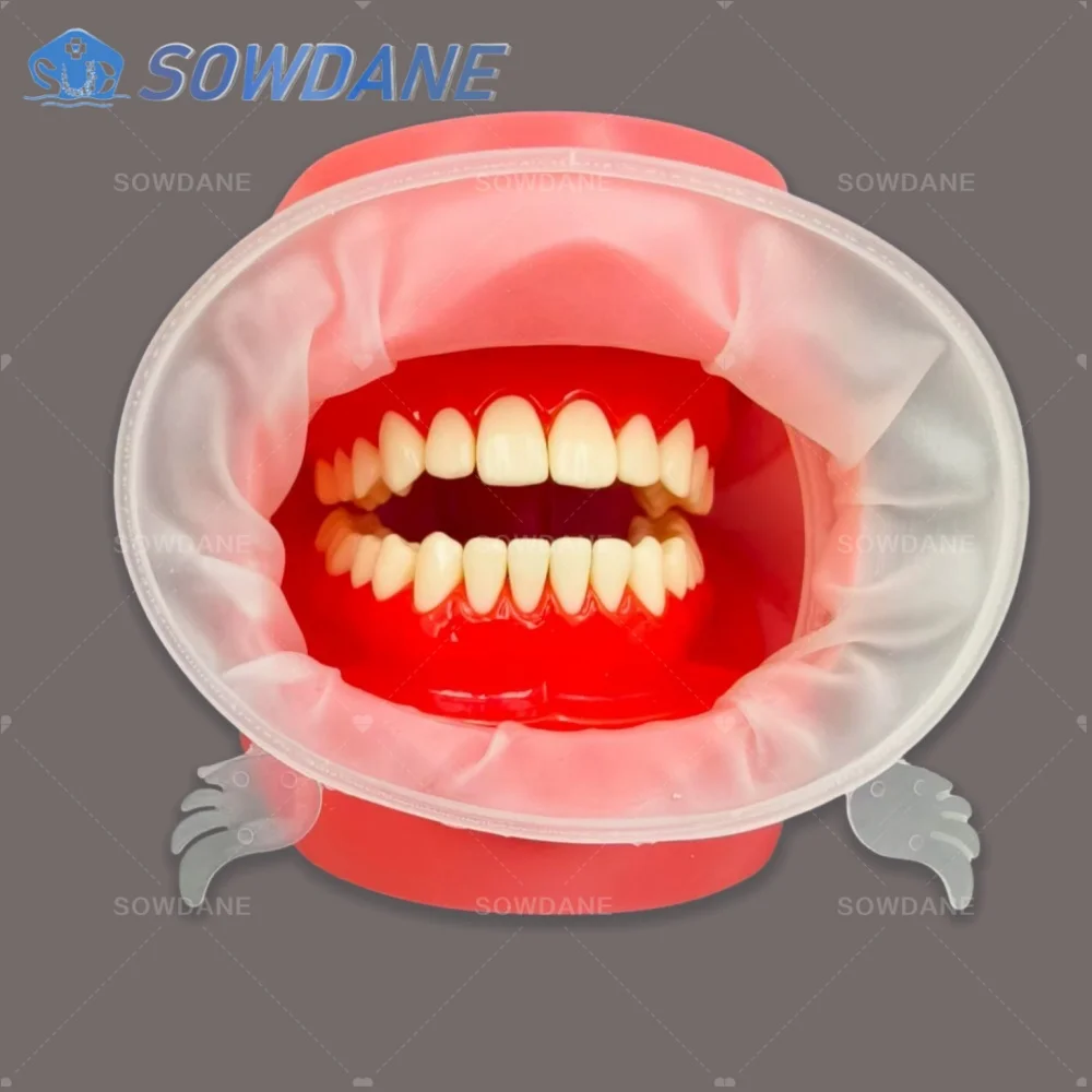 المتاح الأسنان ثلاثية الأبعاد الشفاه الخد ضام الفم فتاحة لينة الشفاه ضام أداة طب الأسنان أدوات طبيب الأسنان #2