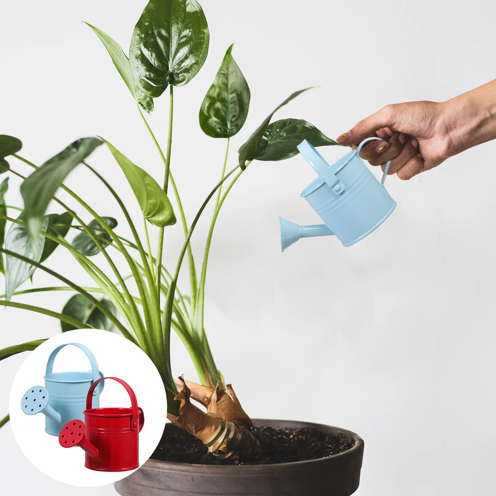 

Iron Watering Can Large Capacity Long Mouth Durable Thickened Leakproof for Plants Garden Home Plastic Kettle