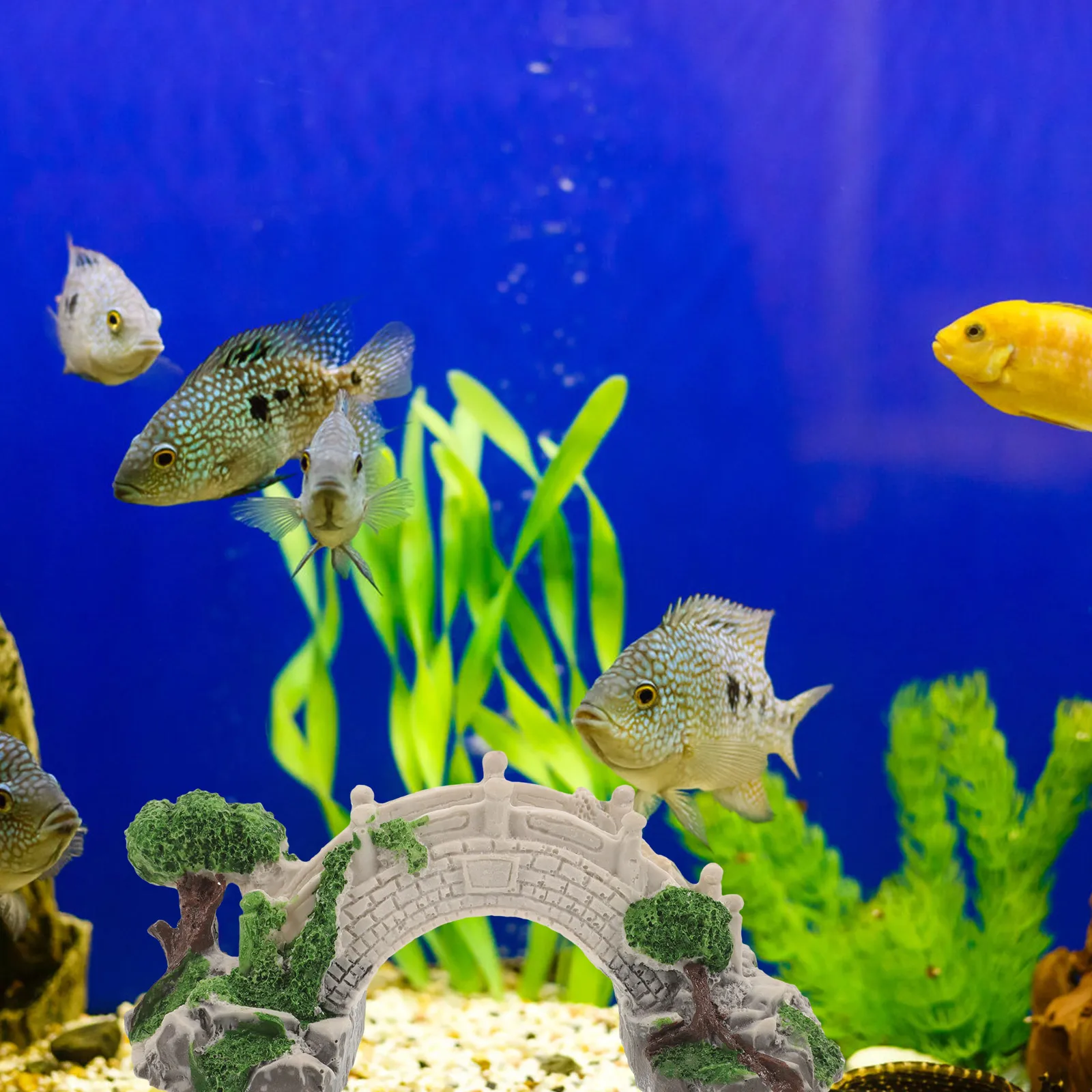 

Aquarium Bridge Ornament Fish Tank Decor Resin Miniature Bridge Model Mini Garden Decoration Micro Landscape Bonsai