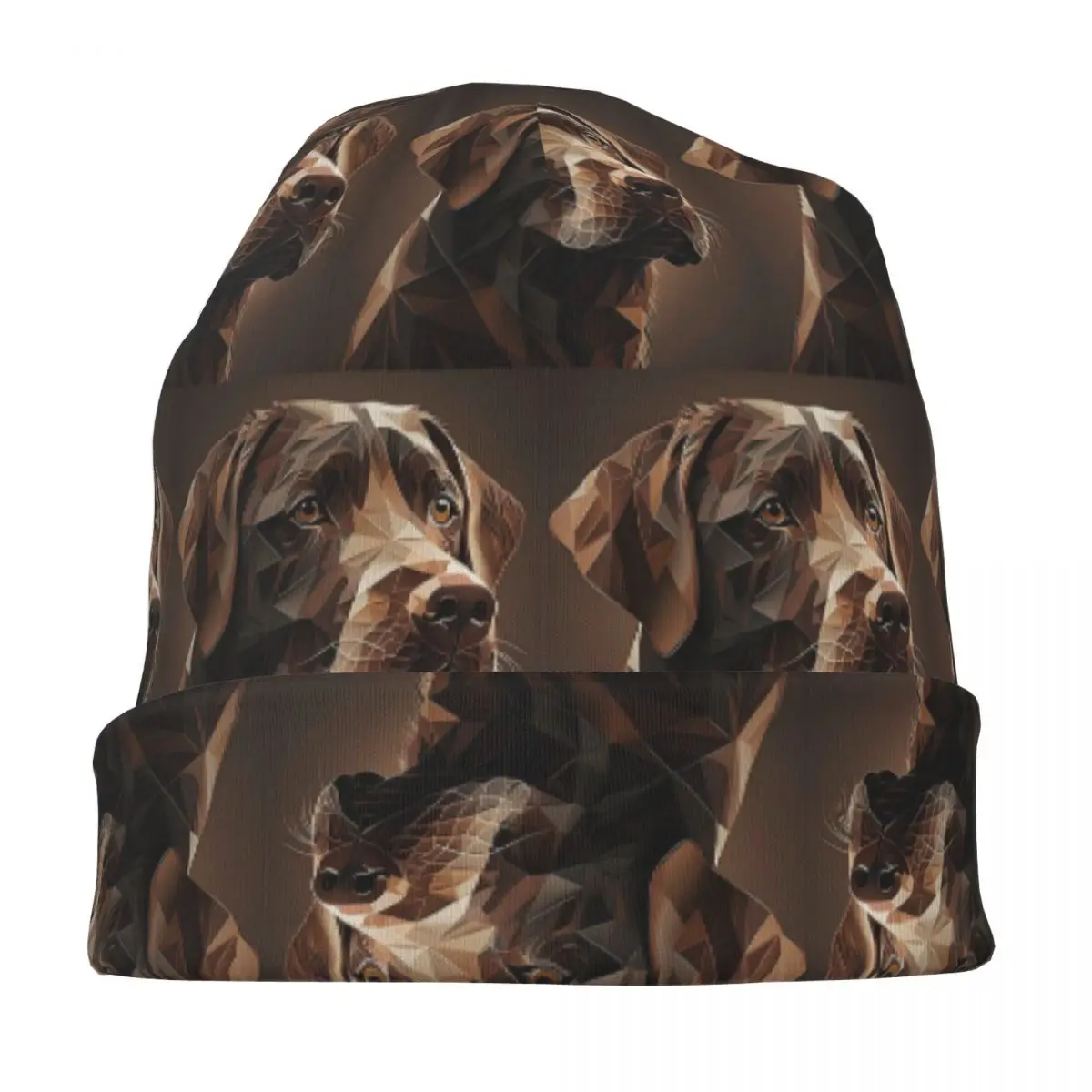 هندسية الشوكولاته لابرادور عمل فني دافئ محبوك قبعة موضة بونيه قبعة الخريف الشتاء في الهواء الطلق قبعات حريمي الكبار