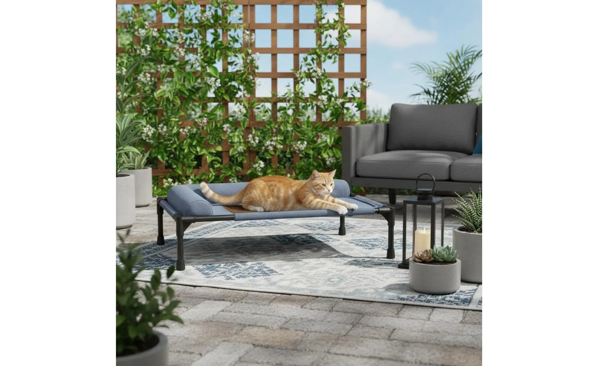 https://ae-pic-a1.aliexpress-media.com/kf/S5abe2626883049c4891fafb61cb1c9eek.jpg Elevated Pet Cot Moisture-Resistant Mesh Pet Suspended Bed Bed Cooling Dog Bed Sturdy Frame Supportive Support for Felines