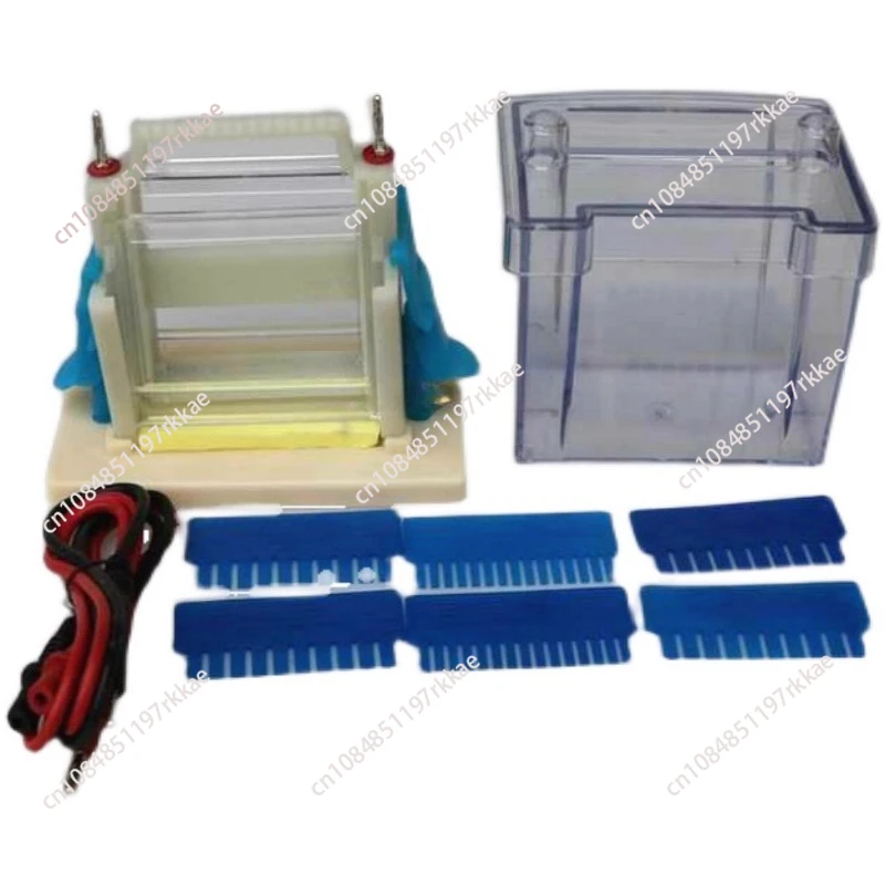 Vertical Electrophoresis Tank High School Biology New Standard Teaching Demonstration Experimental Apparatus