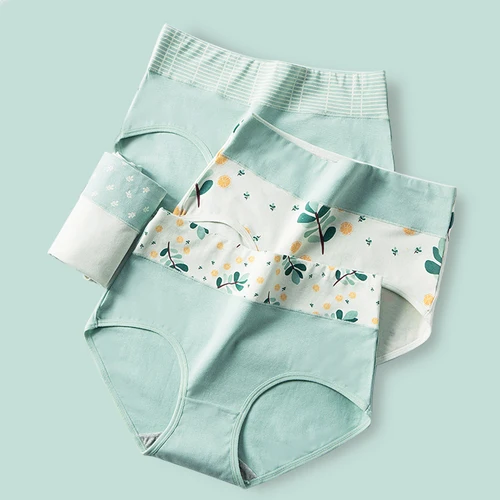 Imagen 1 del producto Bragas de cintura alta para mujer, ropa interior cómoda de algodón con estampado bonito, sin costuras, lencería transpirable, talla grande 4XL