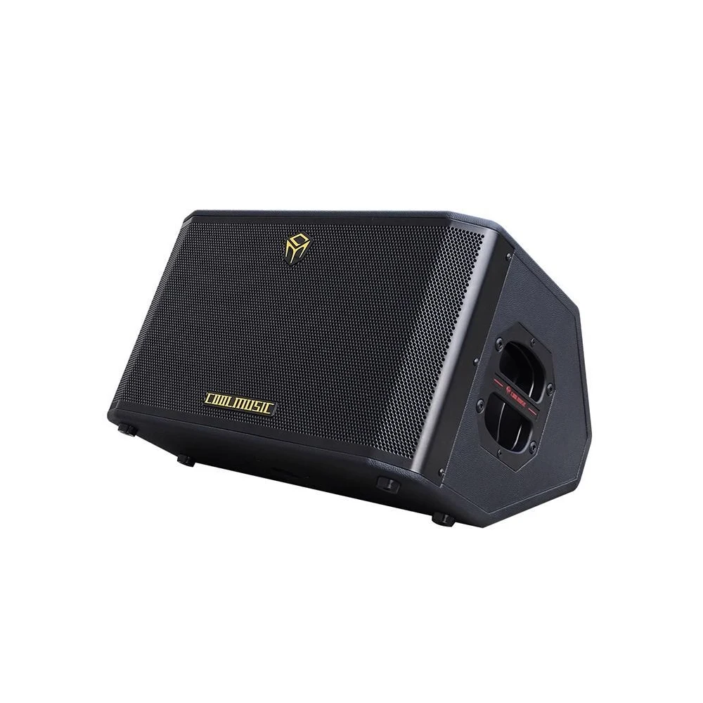 COOLMUSIC 300W Electric Guitar Bass Amplifier BP60D Plus String Instruments Parts Accessories  Recording Built-in Battery
