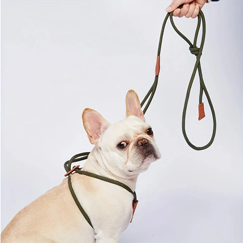 Integrated Leash for Dogs, Adjustable Chest and Back, Pet Leash