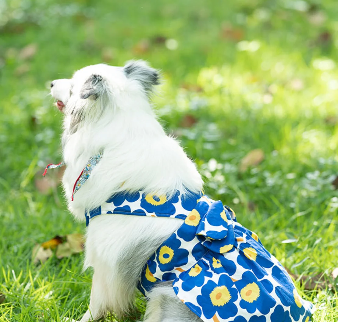 Cute Cat and Dog Clothes, Summer Flower Skirt, Chest Back, Big Dog, Bull Terrier, Grey Dog Clothes