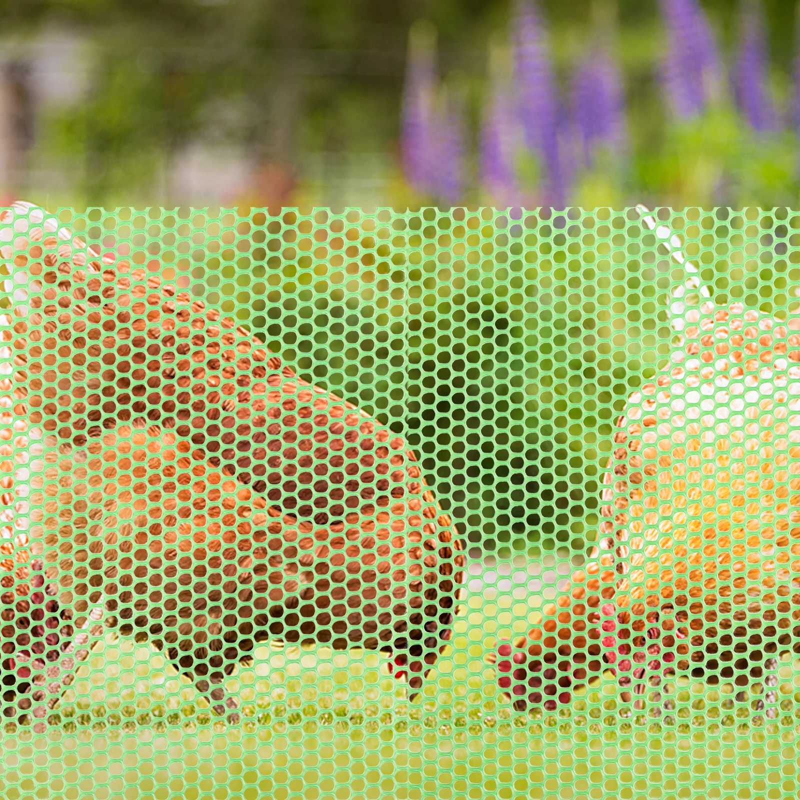 مجموعة واحدة من سياج الحديقة، شبكة بلاستيكية متينة ومرنة وخفيفة الوزن وسهلة التركيب، شبكة حماية من الفاكهة والخضروات على شكل حيوان