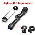 sight with 11mm