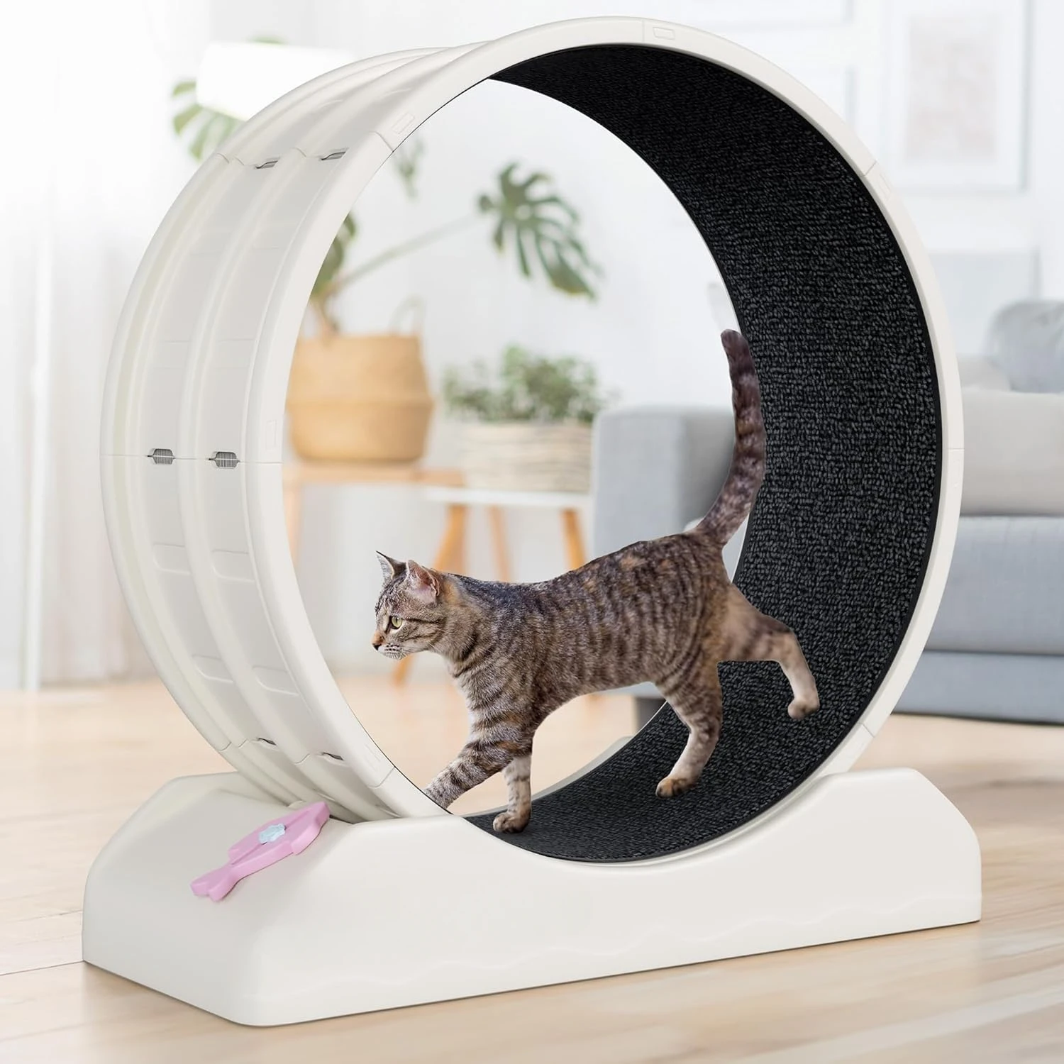 Cat Exercise Wheel Indoor - Running Wheel with  Entertainment Teaser, Safety Lock - Silent Operation Treadmill Wheel