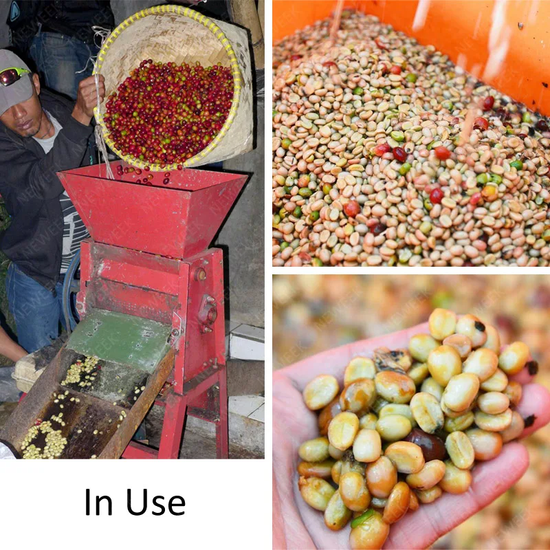 NEWEEK Mini Coffee Cherry Pulper Coffee Beans Dehusking Machine Coffee Bean Peeler