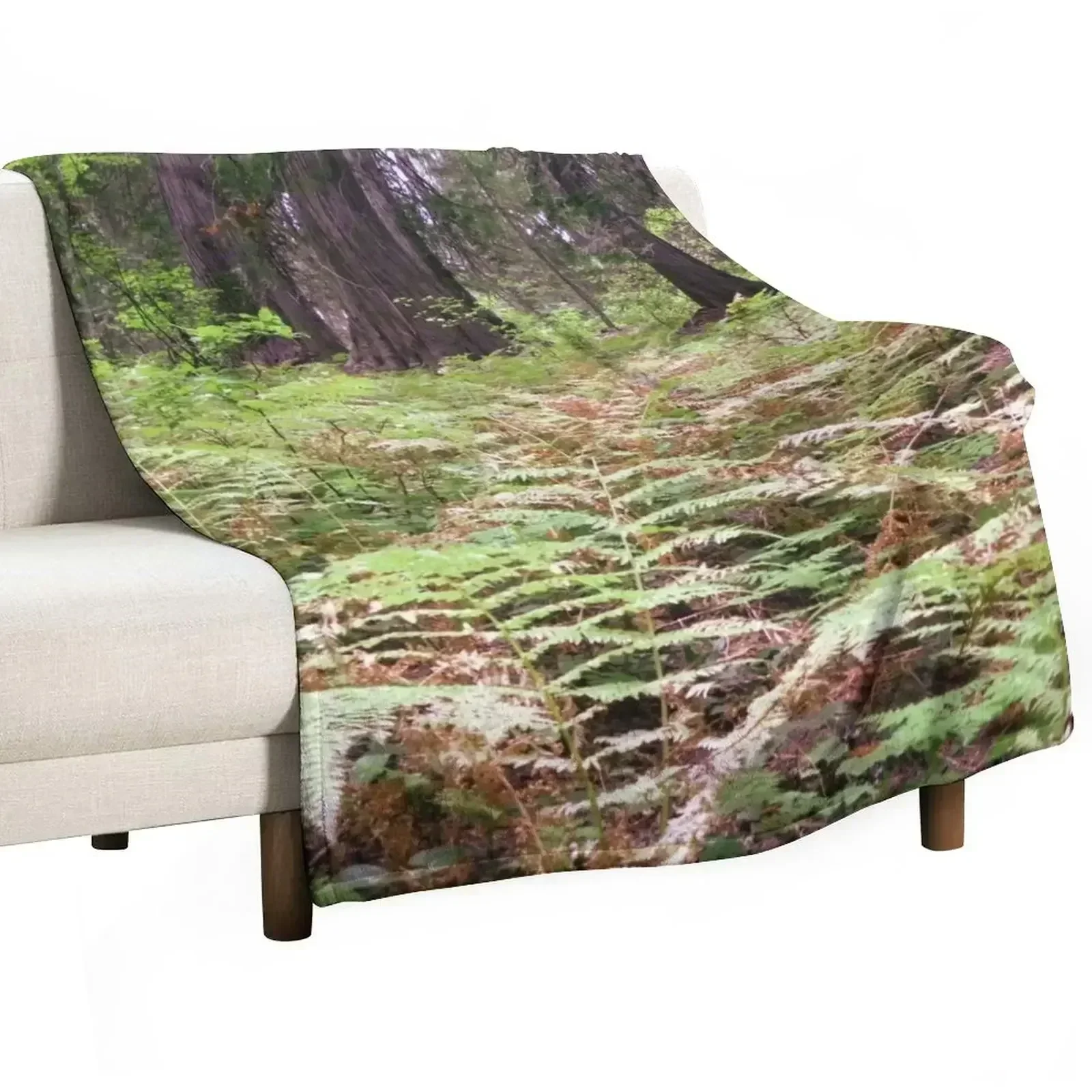 

New Northwest forest with trees and ferns Throw Blanket Beach Softest blankets ands Sofas Blankets