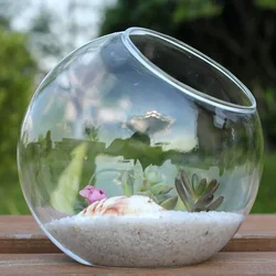 8cm/4.5cm 10cm/6cm 12cm/7cm Transparent High Borosilicate Glass Vase Moss Succulent DIY Eco Bottle Home Decoration