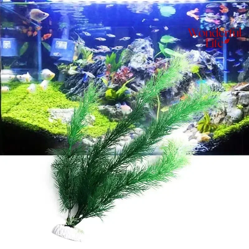 #77 Trending Decorative Aquarium Plants Right Now