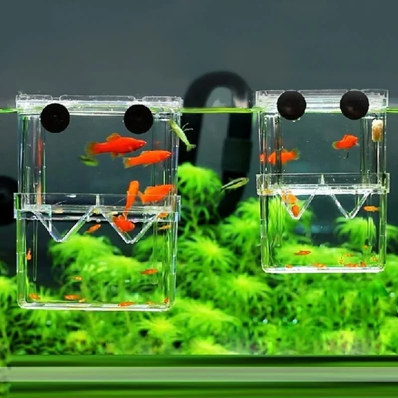 Multifunctional Fish Tank High Definition Fish Breeding Isolation Box Aquarium Breeder Fish Tank Double Guppy Incubator