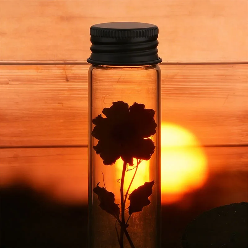 Bottiglie di vetro ripetibili da 5 pezzi 5ml-10ml con coperchio in alluminio Contenitore per dispenser per compresse in polvere Campione vuota per bottiglia di stoccaggio fai-da-te.