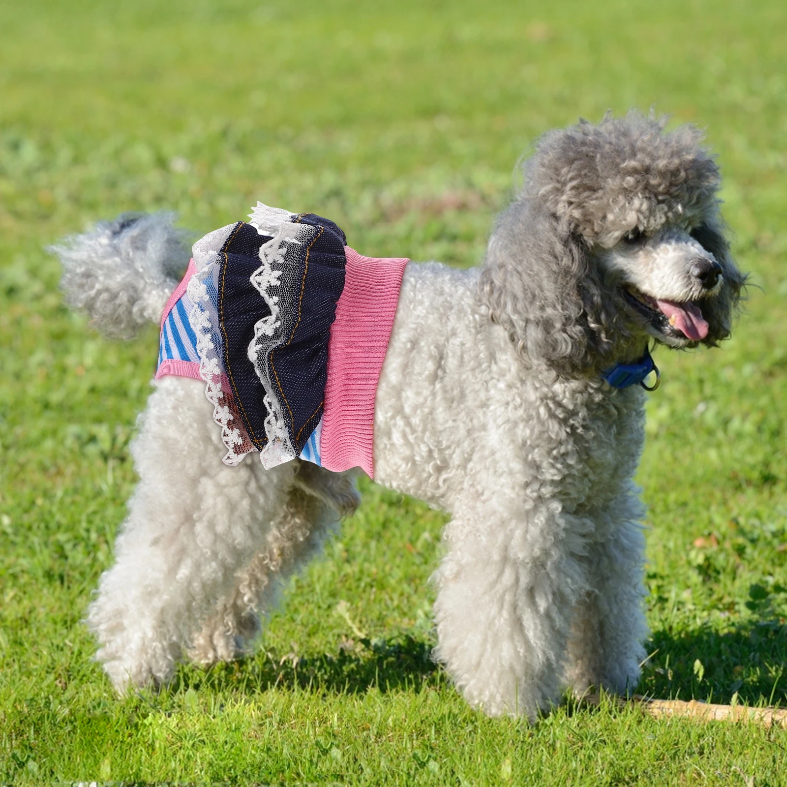 

Washable Reusable Female Dog Diaper Soft Cotton Puppy Sanitary Panties Comfortable Dog Period Panties Pet Sanitary Underwear