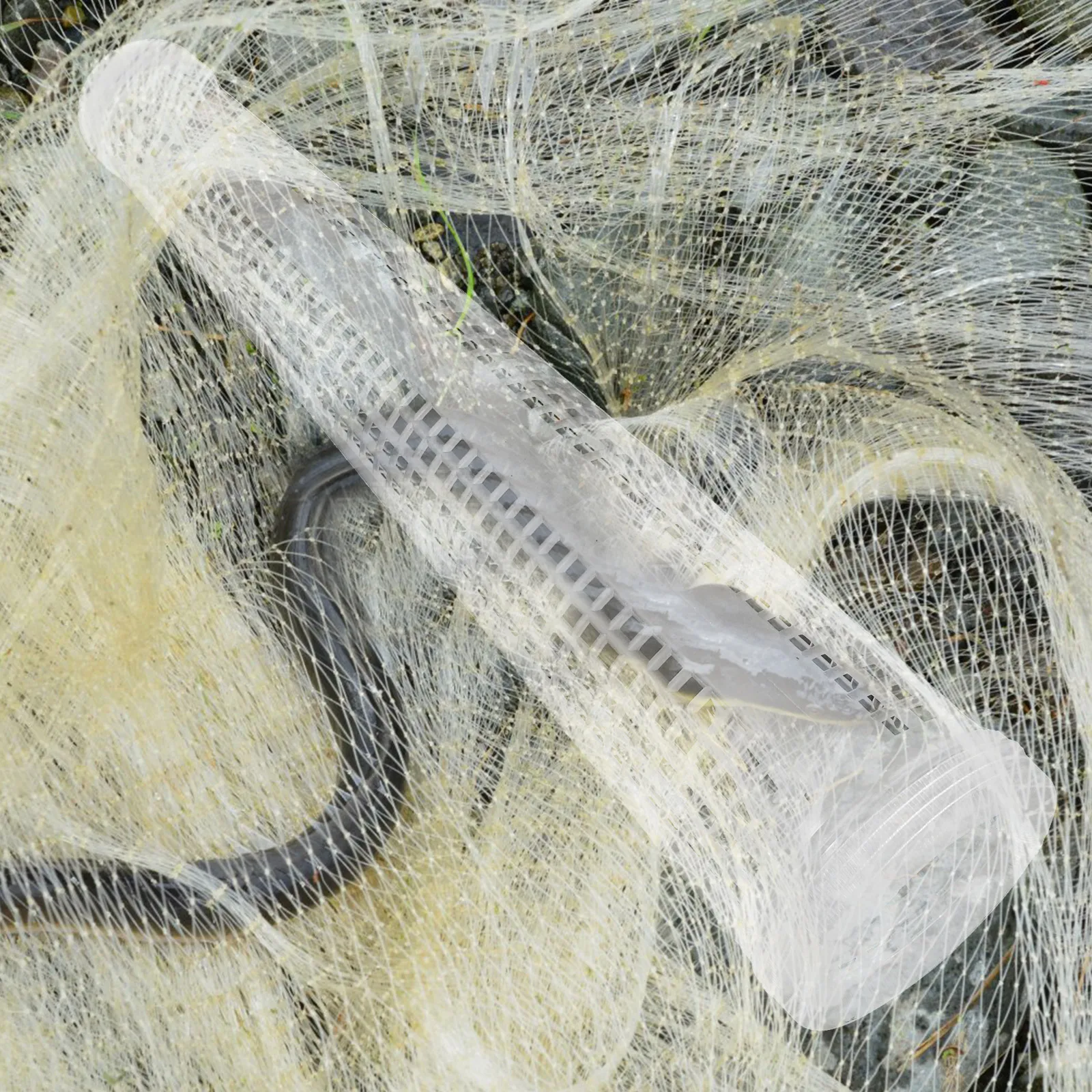 

Folding Fishing Cage Eel Trap Portable Plastic Crayfish Shrimp Bait Net Reusable for Freshwater Saltwater Fish Capture