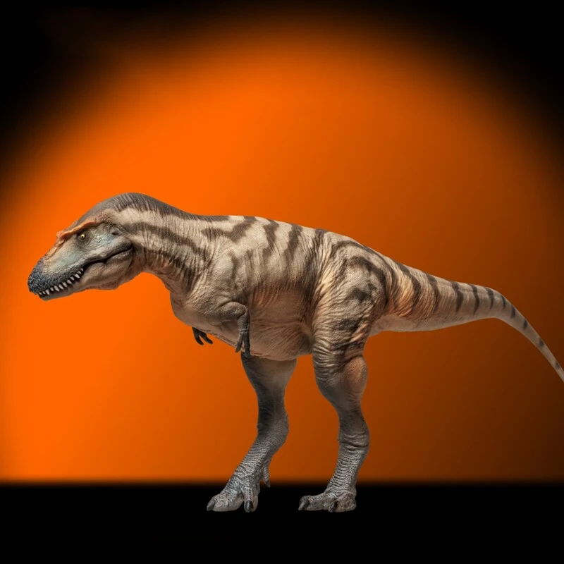 

В наличии. Новая реалистичная фигурка динозавра Gorgosaurus Tristan Dinosaur King Growth Companion Model 71. Игрушка-подарок для детей.