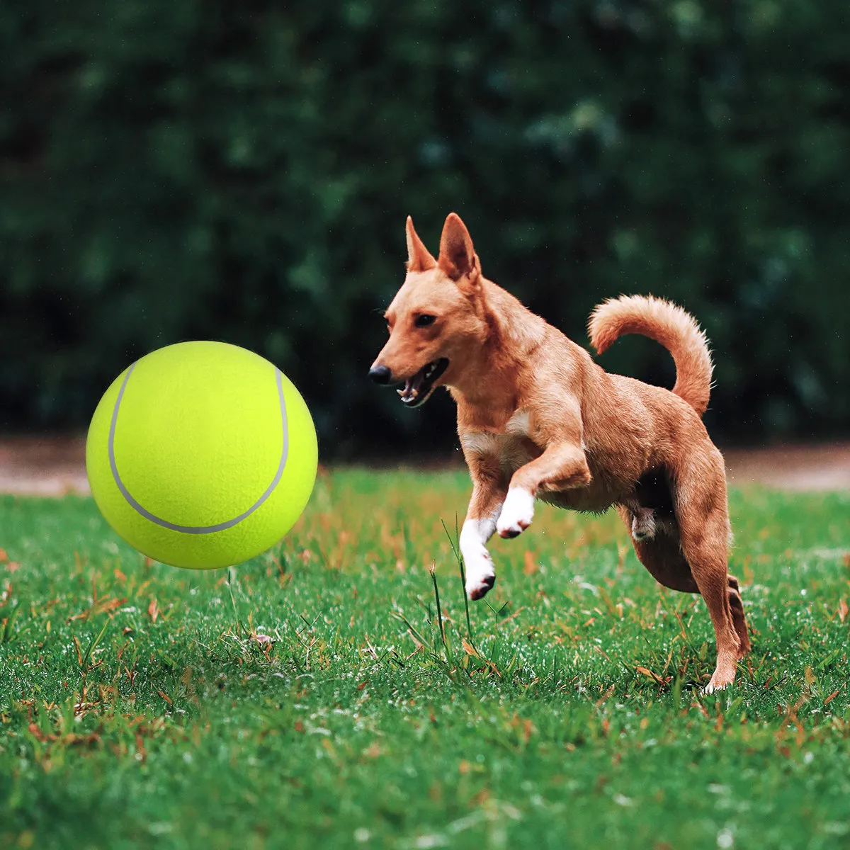 1Pcs 9.5 Inch Giant Tennis Ball Premium Nylon Elastic Soft Oversized for Tennis Practice Training Outdoor Sports Beach Play