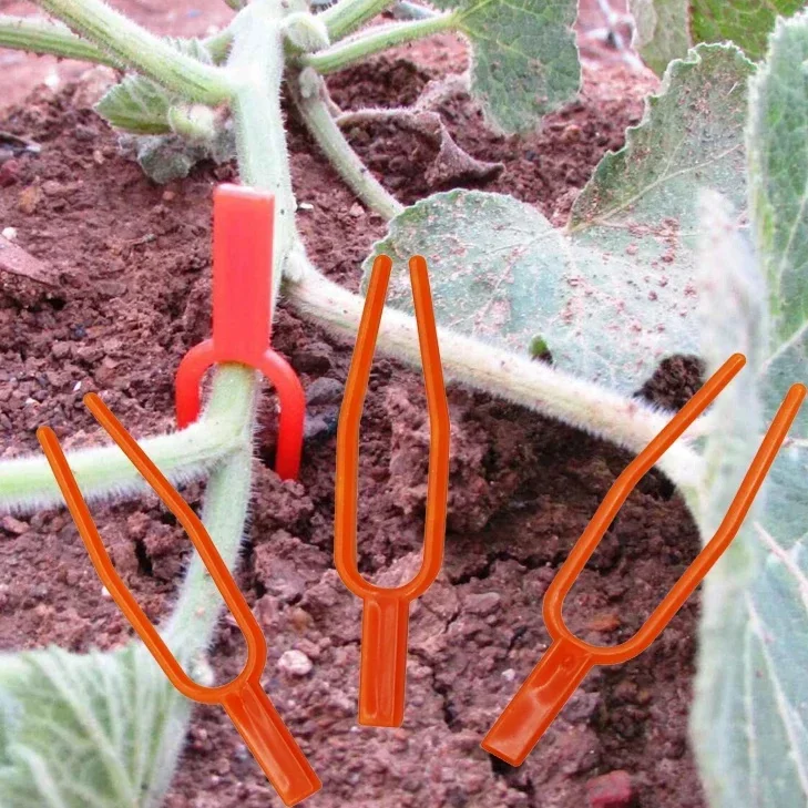 50Pcs Vegetable Vine Fastening Fixture Clips Strawberry Fork Farming Clamp Plastic Plant Clip for Strawberry Farming Protective