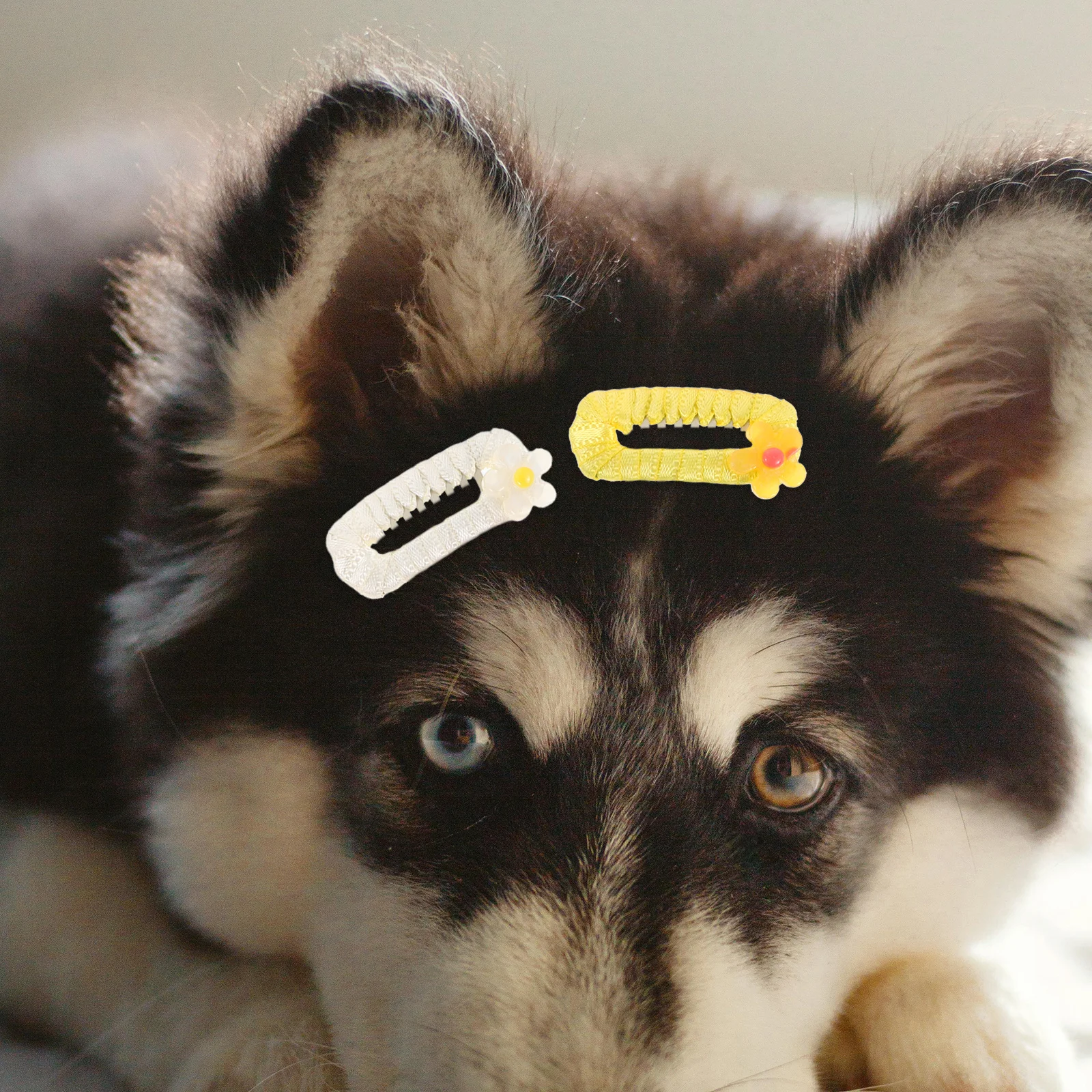 10 Stück Tierhaar-Accessoires, Hundehaar-Clips, niedliche Haarspangen, leicht, für Welpen, Kätzchen, kleiner Hund, Pflege-Styling-Clips