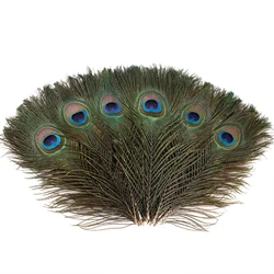 Wholesale 10Pcs/Lot  Natural Peacock Feathers for DIY Craft  Wedding Holiday Decorationn Home Decoration and Floral Arrangement