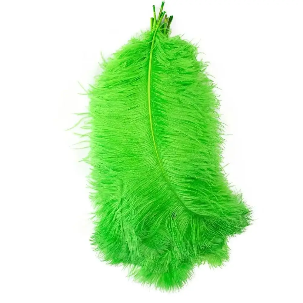 DIY Wedding Craft Ostrich Feathers 10/50/100/200Pcs 60-65cm 24-26 Inch Hard Shots Natural Plumes for Party Centerpiece Supply