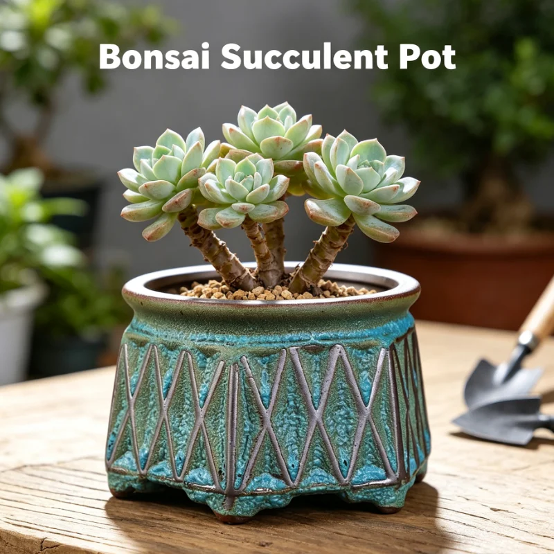Creative Ceramic Succulent Planter With Artistic Design For Home Garden Organization