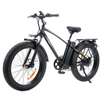 PHNHOLUN P26 Pro Electric Bike, 1000W Motor, 48V 24Ah Battery, 26*4.0\