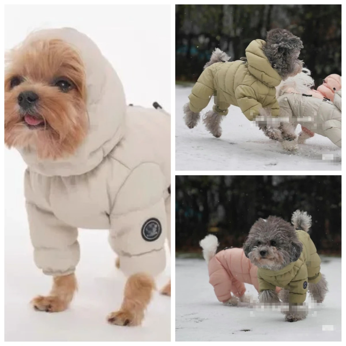 �y�Z�[�����z�T�[�}���R�b�g�����p�{�f�B�X�[�c�A�e�f�B�E�r�V�������^���p�̒g����4�{���̓~�p�p�W���}�A���S�n�̗ǂ��~�j�}���X�g�y�b�g��