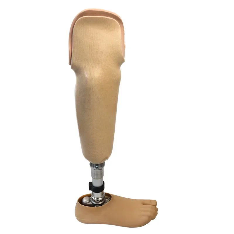 

Below Knee Limb Prosthetic Components Artificial Implants Prosthetic Leg For Amputees