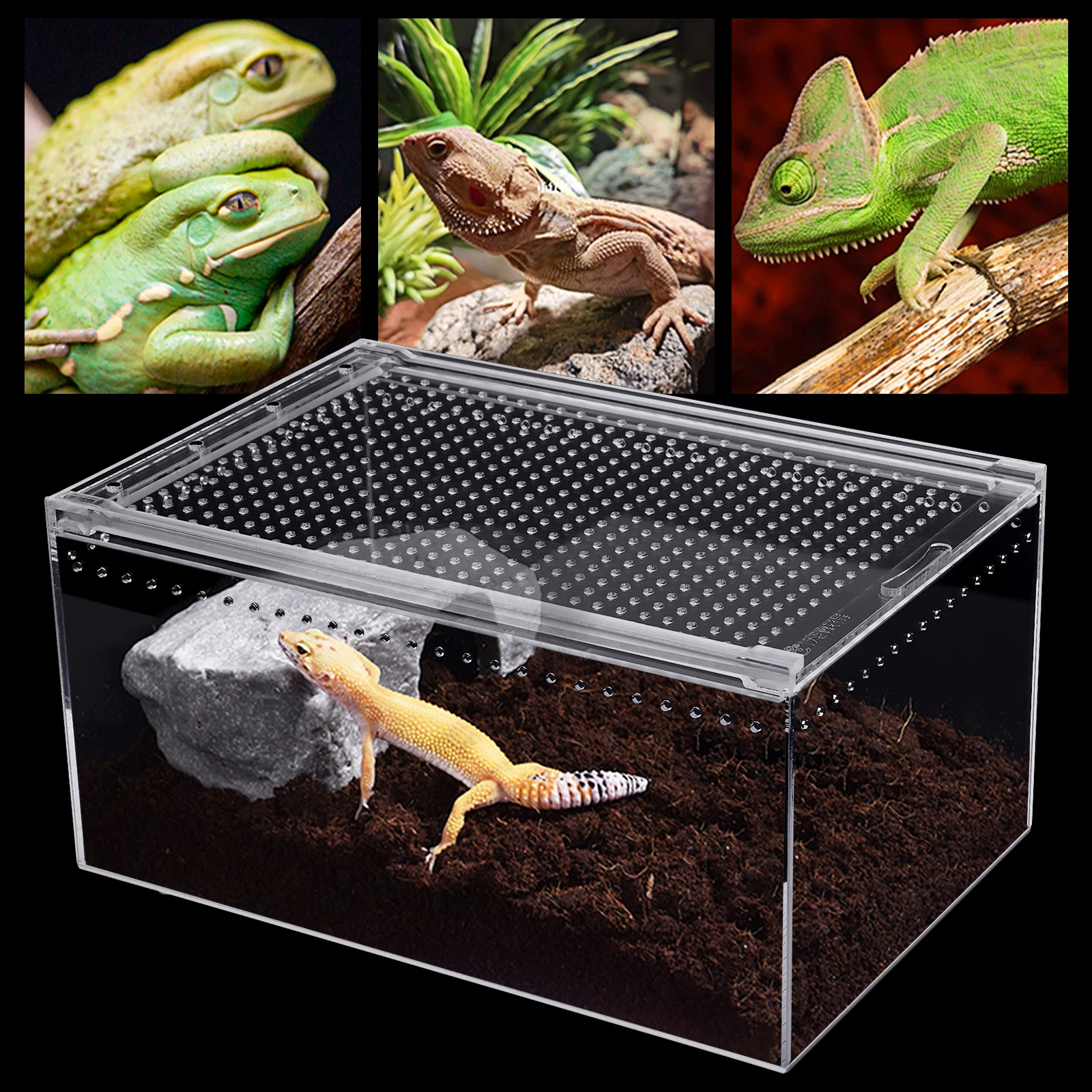 Transparent Pet Feeding Box Acrylic Large Size Enclosure Plant Pet Reptile Breeding Box Terrarium Tank Insect Breeding Cage