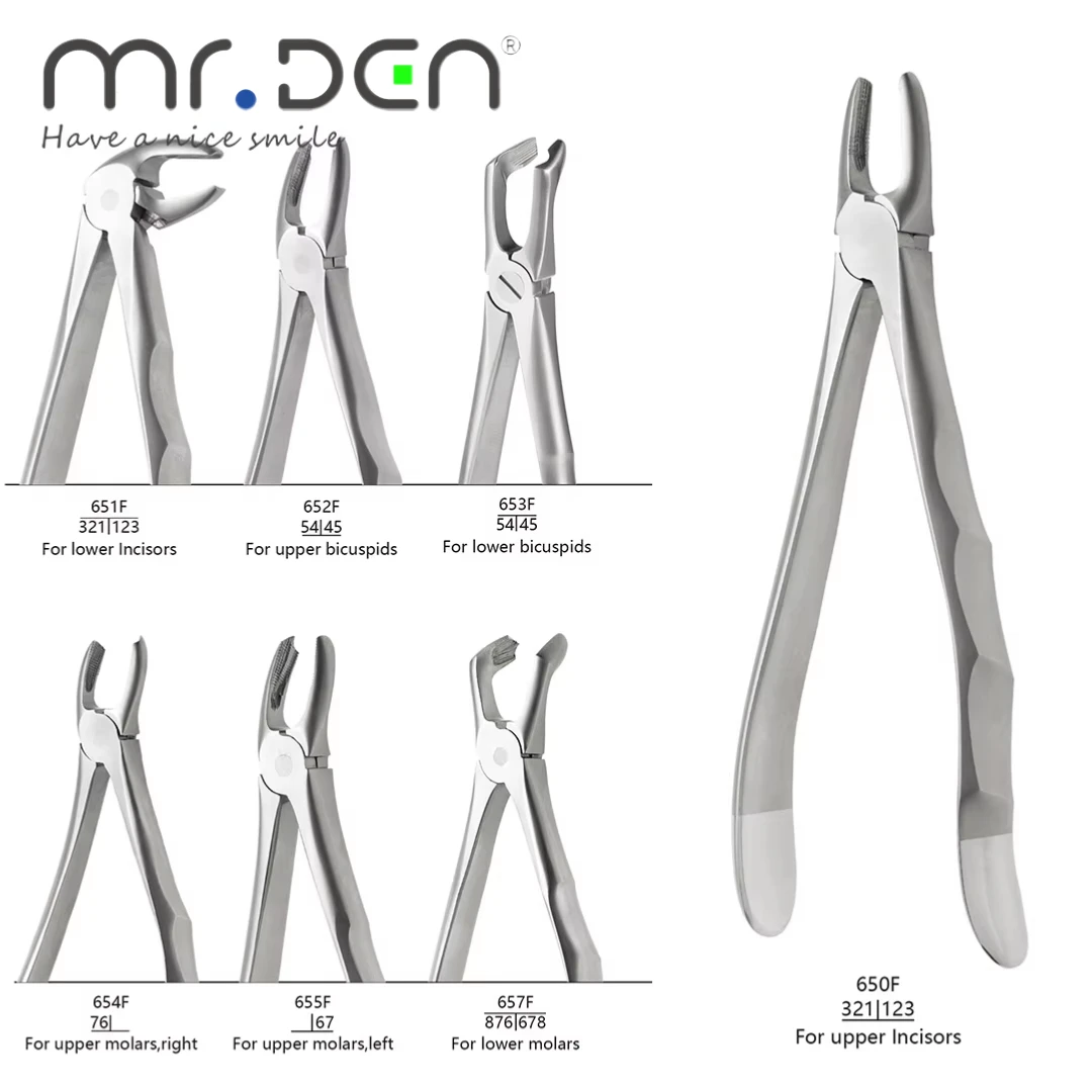 MR DEN ملقط استخلاص الأسنان عالي الجودة للبالغين كماشة أسنان بمقبض متعدد الفتحات لقواطع علوية وسفلية أضراس Bicuspids